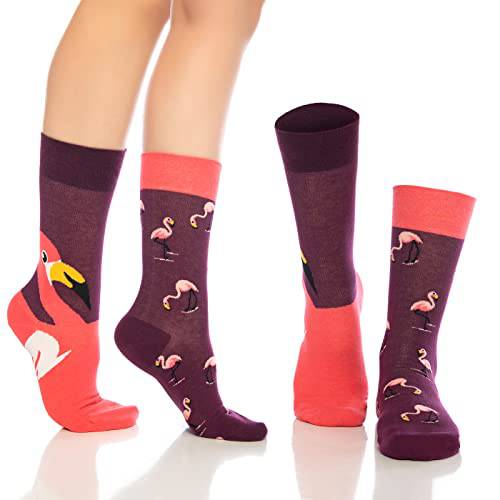Fun Crew Socks 6-Pack, Coffee & Science Mix